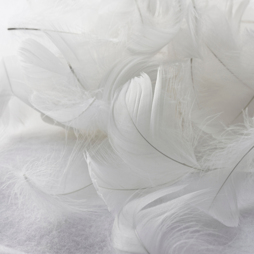 Puradown 50% Duck Down/50% Duck Feather Quilt/ Doona – Home Comforts